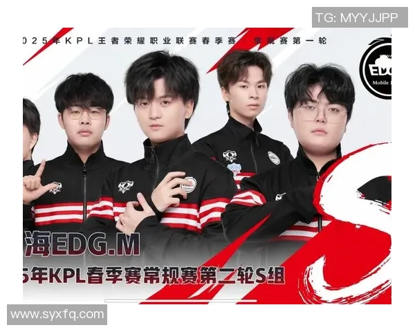 王者荣耀战术分析：深入探讨JDG战队的包夹策略与执行效果