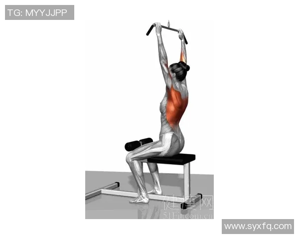 练肌肉买什么健身器材？全方位肌肉锻炼指南